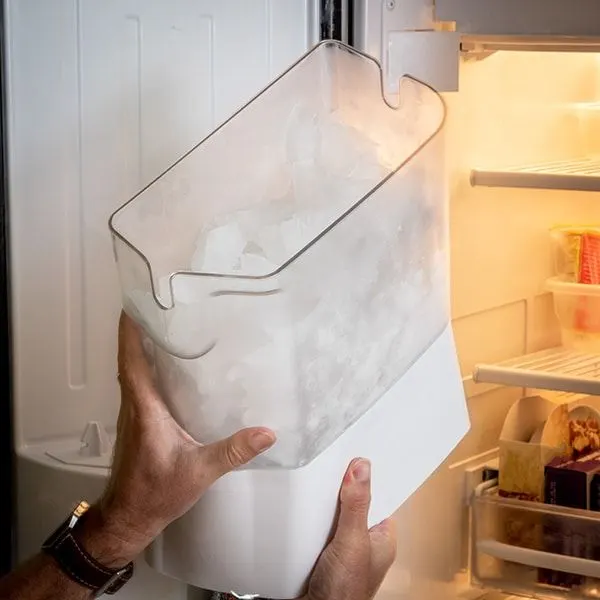 clean refrigerator ice maker
