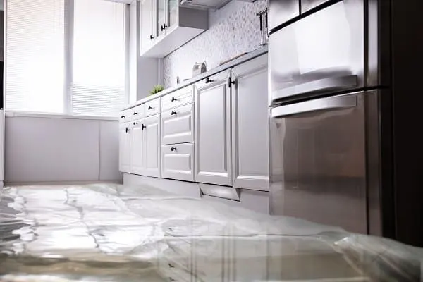 refrigerator is leaking